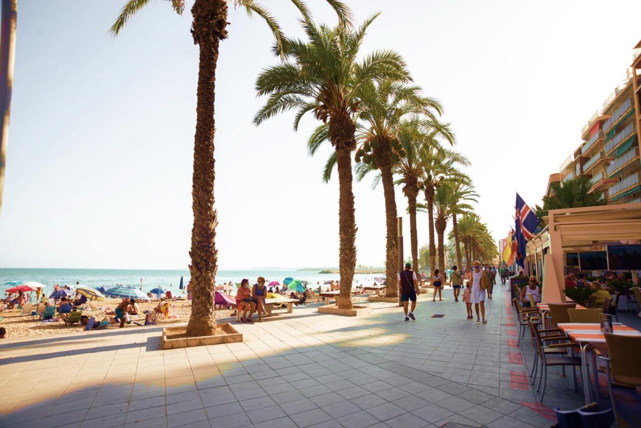 Holiday Studio Jardin Playa Torrevieja Extérieur photo